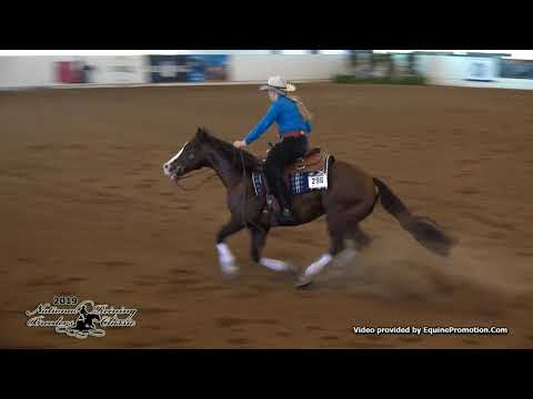 WImpys Lil Hollywood ridden by Caitlyn Upham - 2019 NRBC Youth