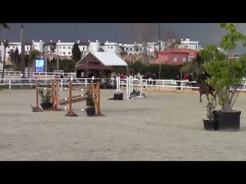 Rock Star Castellane - 1er - 140 Oliva MET 2015 CSI2*