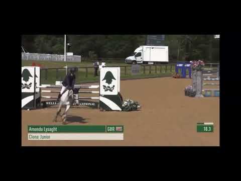Clone Junior show videos and training this is the breeding mare