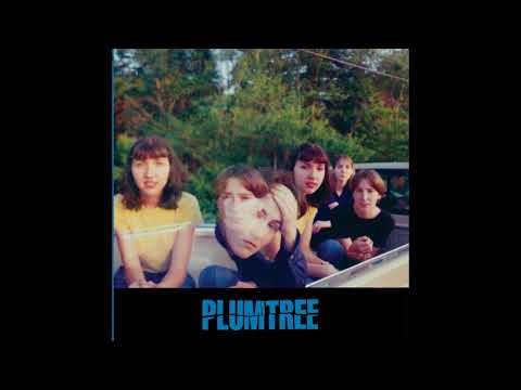 Plumtree / In The Sink ( the best version )