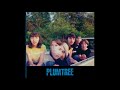 Plumtree / In The Sink ( the best version ) - Danilo Payno Plumtree / In The Sink ( the best version )