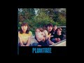 Plumtree / In The Sink ( the best version )