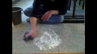 How to Clean Pet Vomit From Carpet - Remove Pet Stains From Carpet - Vinegar to Clean Carpet