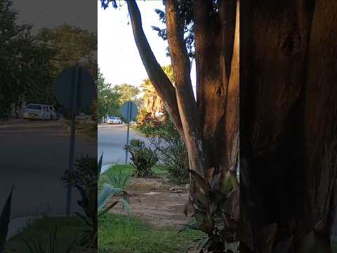 Valle Hermoso, Punilla, Córdoba, Argentina.#vallehermoso