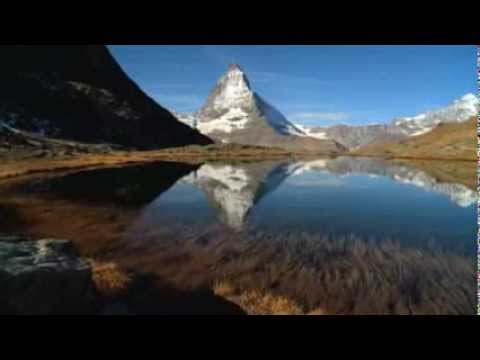 CHOLLEY Company Profile