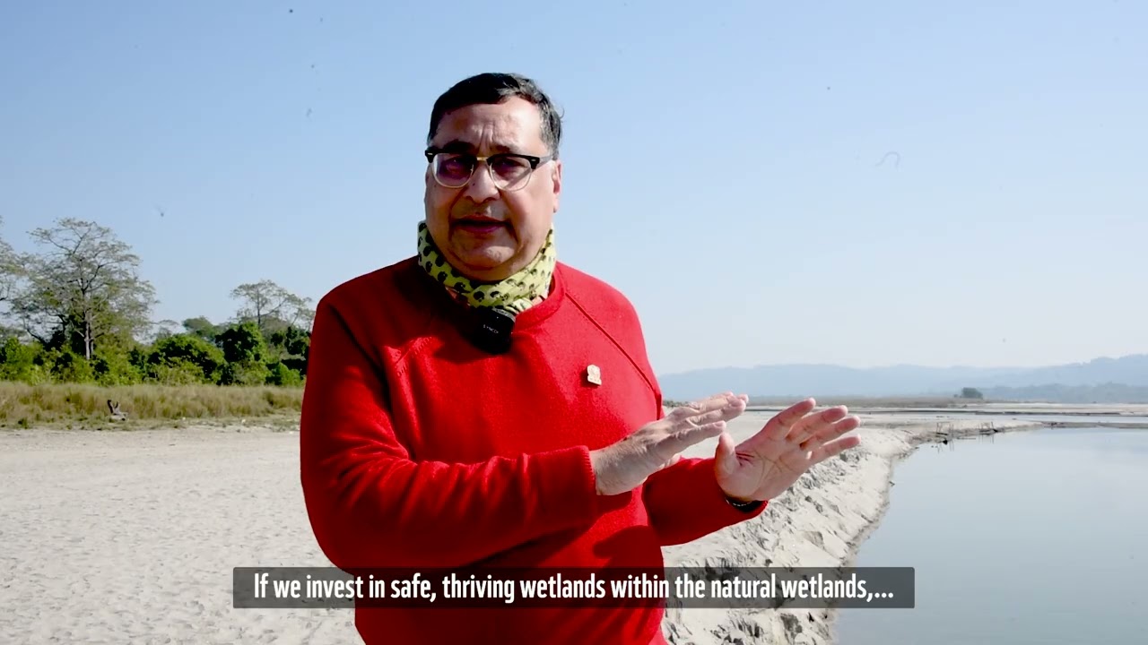 Wetlands for wings- World Wetland Day 2026