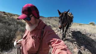 Download lagu It was Hard but I did it mp3