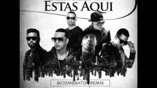 DamnFrog Ft Zion, Daddy Yankee, Nicky Jam Y J Alvarez - Estas Aqui remix