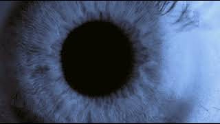 The Maine - Don&#39;t Come Down (Slowed)