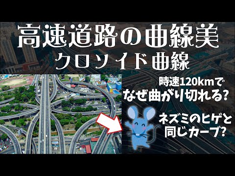 クロソイドについて詳しく解説