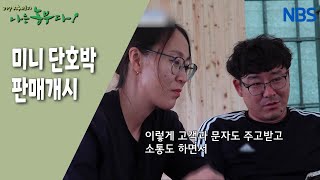 [호박 같은 내 사랑] 지금처럼 단단하고 달콤하게