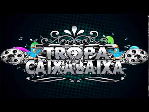 MC KARLINHA - CHAPADAO DE WISK ( VRS TROPA DA CAIXA BAIXA )