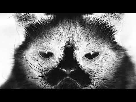 Песнь (feat. Bob)