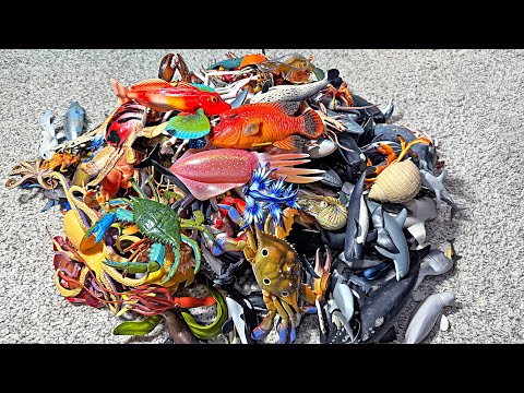 Entire Collection of 500 SEA ANIMALS TOYS! Squid, Crab, Seal, Walrus, Shark, Dolphin, Whale