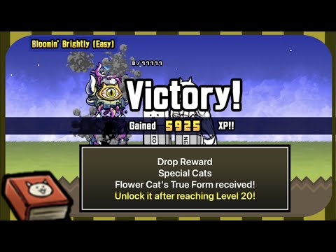 Battle Cats Beginners' Guide | Next Steps: how to get Bombercat (true form Flower Cat)