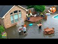 People Doing Stupid Things TOTAL IDIOTS AT WORK 222 Instant Regret Fails Compilation 2025