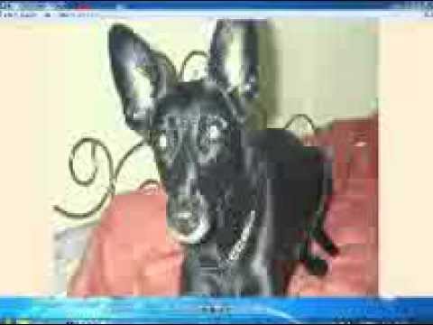 MIX-03 - Astrix-Klopfgeister-Nelix-Phaxe,Querox-u.v.a-(DJ-HELMIC -MIX - 03 - 28.04.2014)