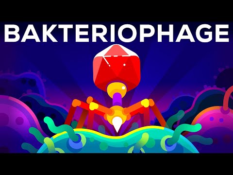 Der tödlichste Killer der Welt – Der Bakteriophage