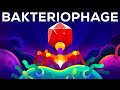 Der Tödlichste Killer Der Welt Der Bakteriophage