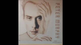 PETER MURPHY - SOCRATES THE PYTHON - A-4 (2021)