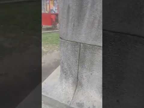 palhasso pipao hell sex forever one transformer young 🐶🐐🐐🐽