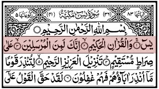 Download lagu Surah Yaseen | Surah Mulk | Surah Waqiah | Surah Rahman | Calm Relaxing Quran Recitation mp3