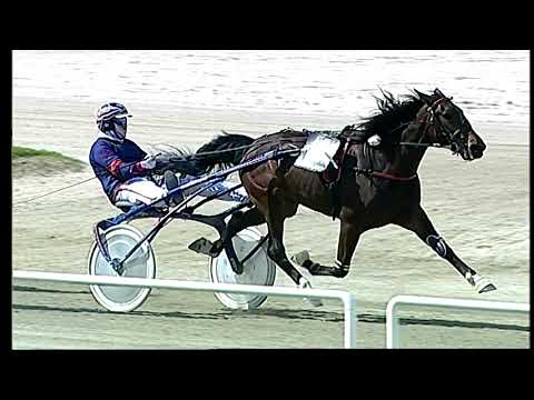 Napoli Trotto 10/04/2022 - 3ª corsa