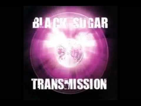 BLACK SUGAR TRANSMISSION promo for Use It EP (coming Spring '09!)