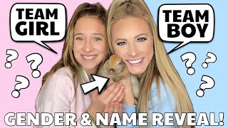 Is it a BOY OR GIRL?! 💙💗 GENDER REVEAL PARTY FOR BABY BUNNY! 🐰
