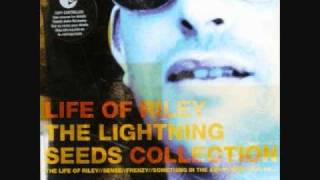 The Lightning Seeds - Hang On To A Dream