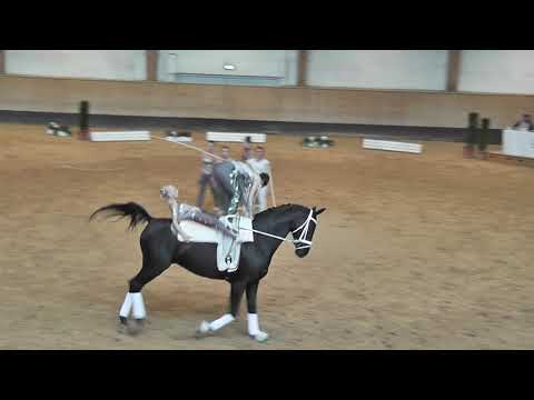 Pferd International 2018 - Voltigieren - Ingelsberg Junior 1