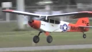 preview picture of video 'rc Super Cub painted in NAVY colors'