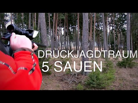 DRIVE HUNT DREAM - 5 boars!