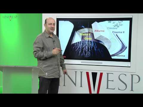 Plant Morphology - Class 17 - Wood Anatomy