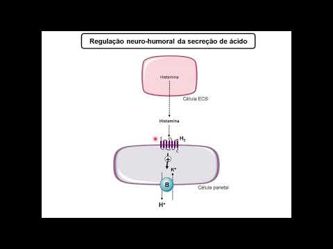 Farmacologia do trato gastrointestinal