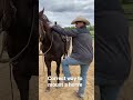 How To Mount Correctly