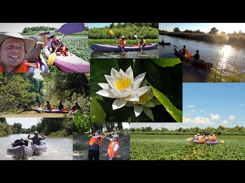 Delta Dunarii, cu caiacul