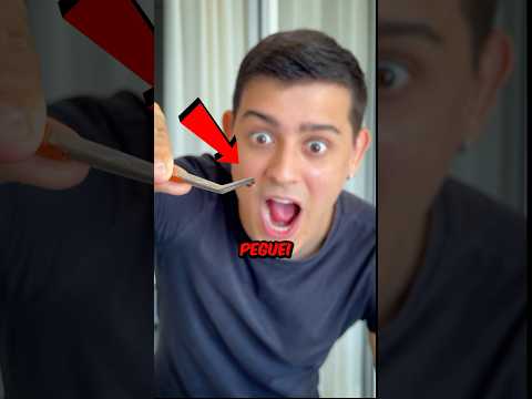 Achei uma Formiga Rainha 👑 e Vou Começar uma Nova Colônia 🐜 #shorts