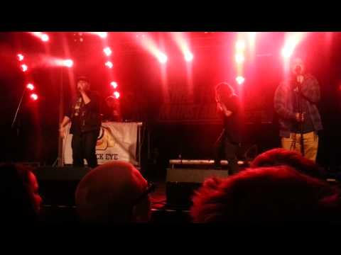 Ruger Hauer - Sig Sauerkraute (Seinäjoki Hiphop Festival 29.8.2014)