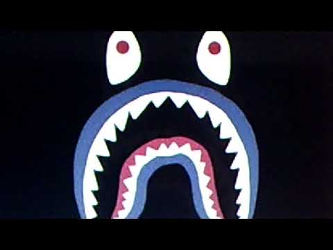 The Chivalrous Shark video