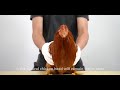 Rigiet compares with Chicken Heads #gimbal #funvideo #stabilizer #chicken