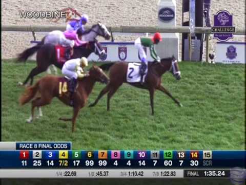 2016 Natalma Stakes - Victory to Victory