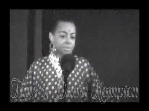 Dawn Hampton One Monkey Donât Stop No Show