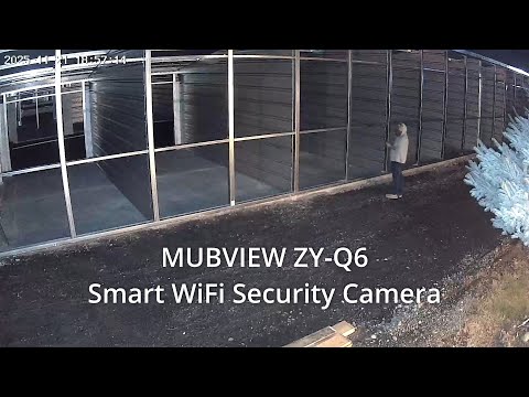 Naseto  ZY Q6 Smart WiFi Security Camera