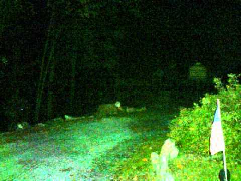 Phillips' Rangers Monument Video 1