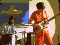Fligth of surf guitar