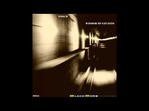 Pooch - Acid Of Wisdom (Original Mix)
