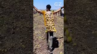 Amazing Skills