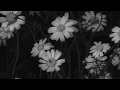 En Jeevan Slowed Reverb