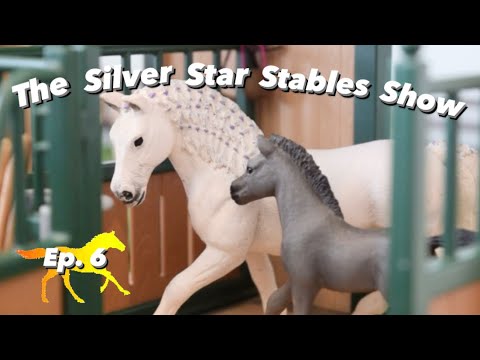The Silver Star Stables Show - Episode 6 |Schleich Horse Role-Play Series|